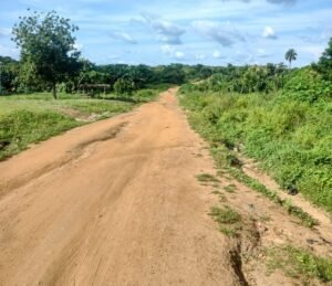 Agriculture & Autonomisation